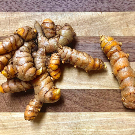 Turmeric Rhizomes