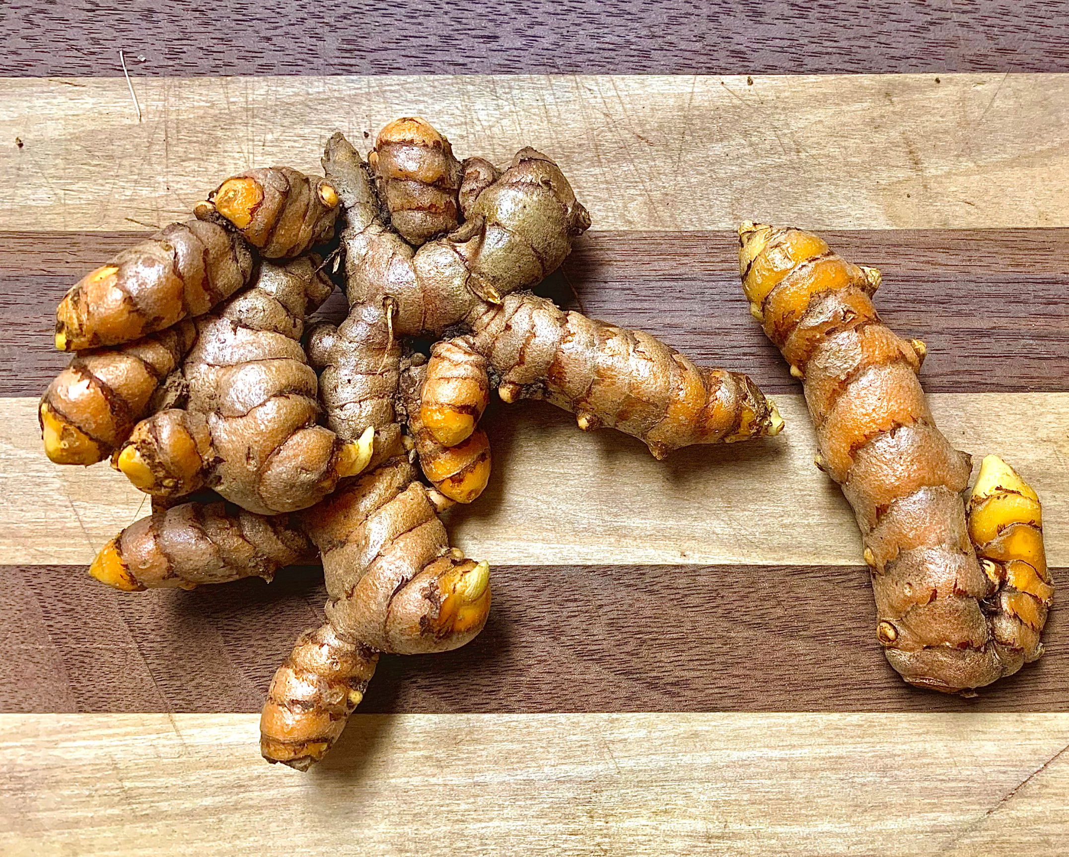 Turmeric Rhizomes