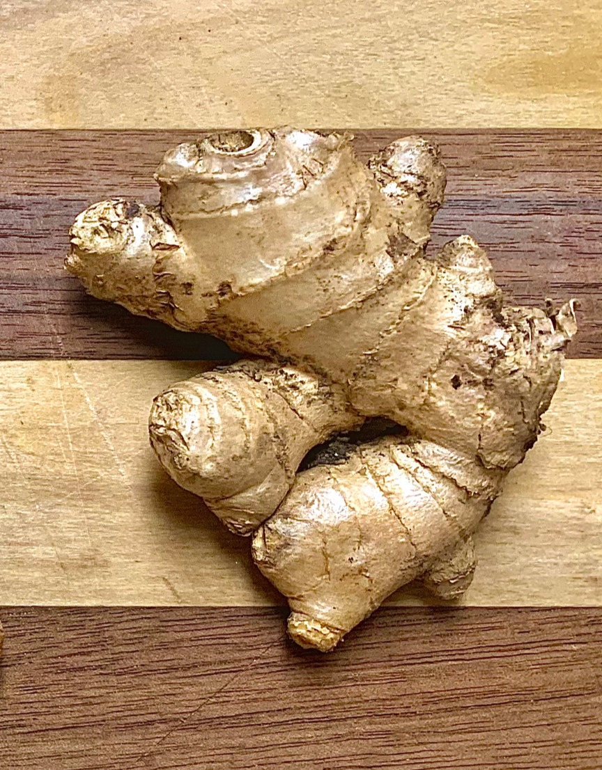 Ginger Rhizomes