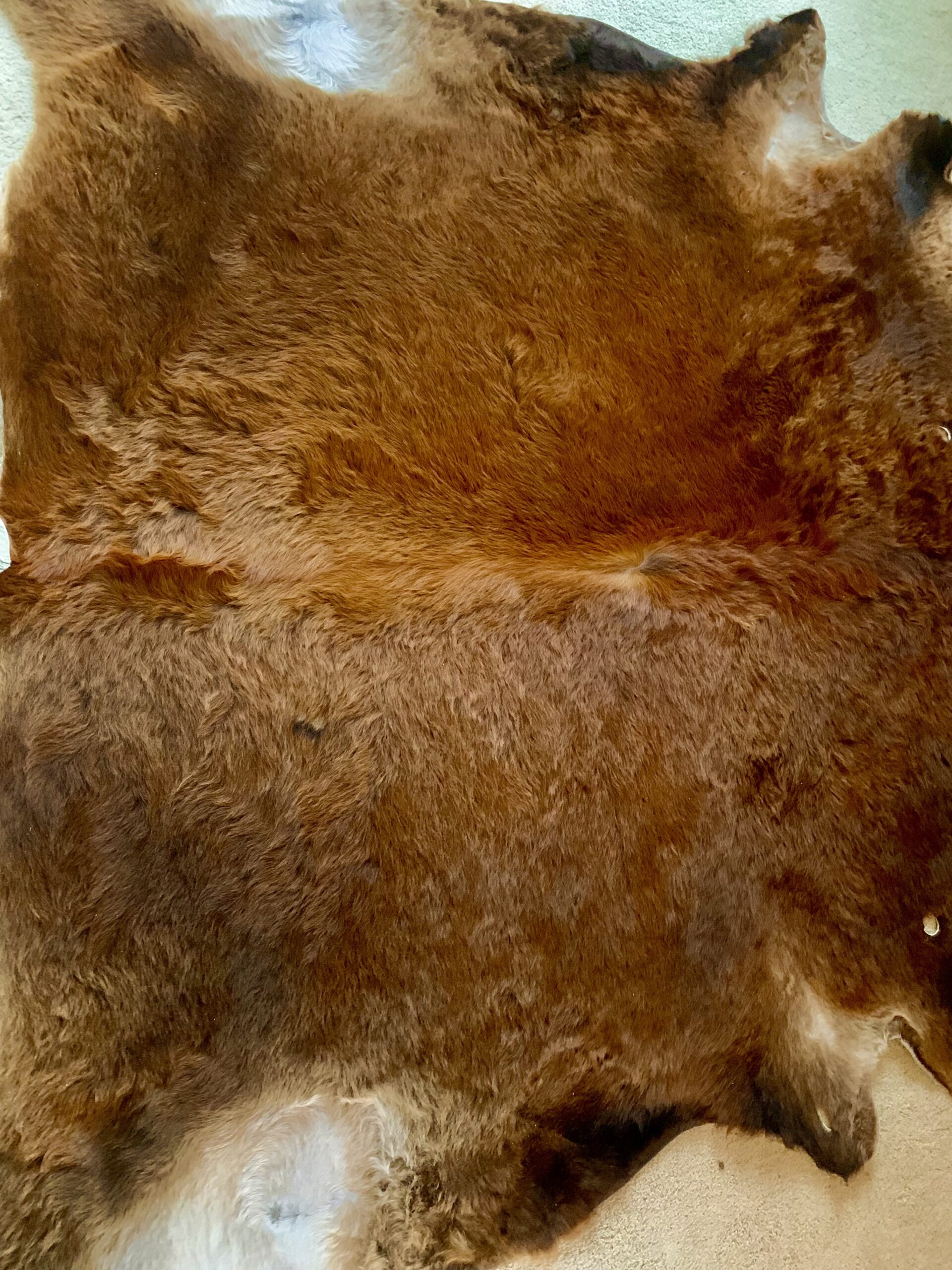Cow Hide